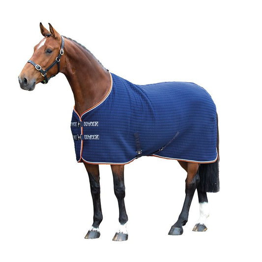 Brown horse wearing a blue cooler blanket with straps.