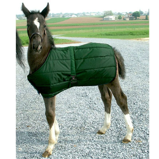 Adjustable Quilted Foal Stable Blanket by Snuggie Hun