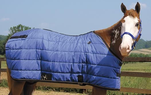 Weaver Royal Blue 1200D Stable Blanket 78