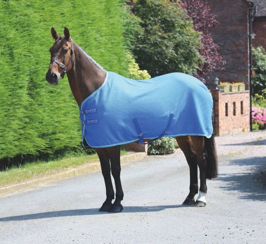 Horse wearing a blue cooler blanket in a garden.