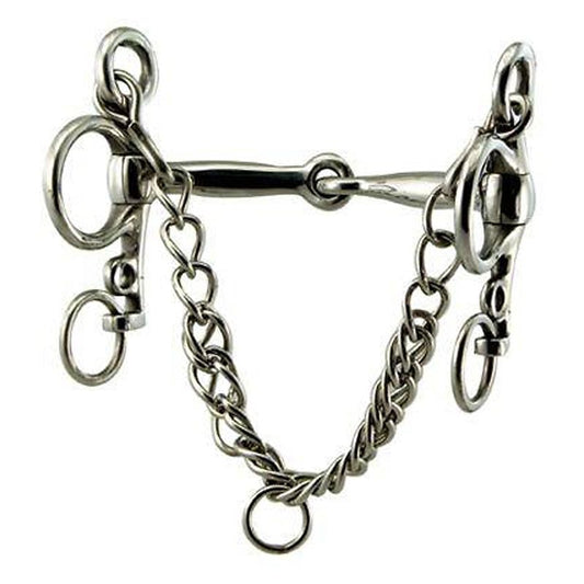 Close-up of a stainless steel pelham bit with chain.