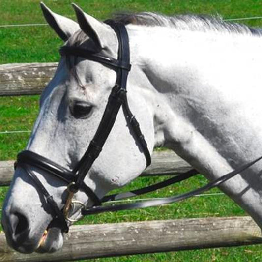 White horse wearing a black dressage bridle outside on grass.