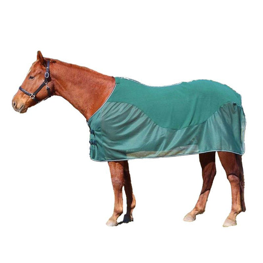 Brown horse wearing a green Tuffrider blanket, isolated on white.