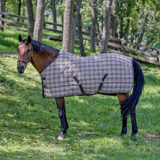Horse in plaid turnout blanket standing in a grassy field.