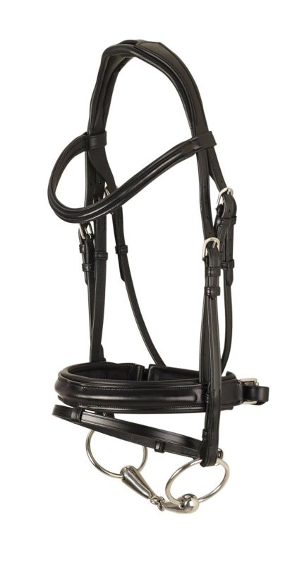 Black leather dressage bridle with silver bit and buckles.