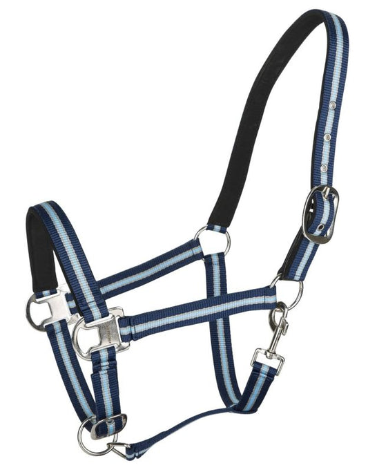 Blue and black striped Tuffrider horse halter with silver hardware.