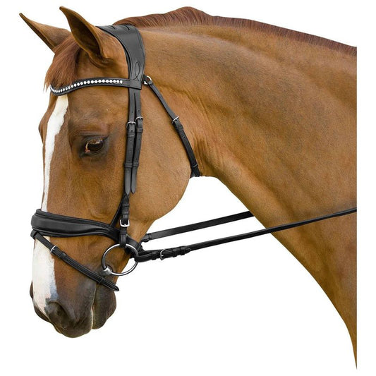 Brown horse wearing a black leather dressage bridle.