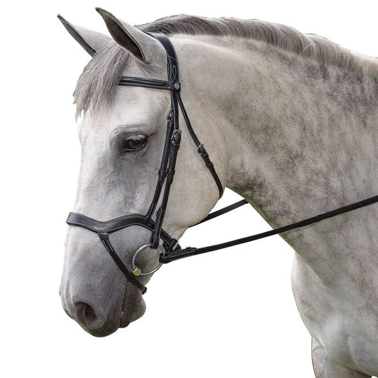 Gray horse wearing a black leather dressage bridle.