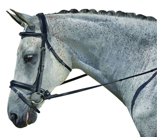 Dappled horse wearing black dressage bridle facing right side.