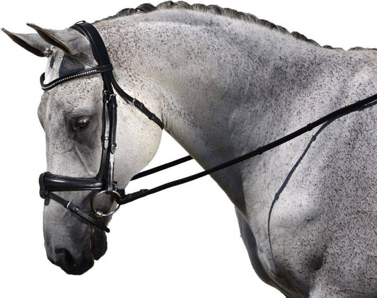 Gray horse wearing black leather dressage bridle, head down.