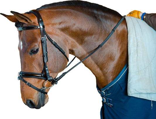 Brown horse wearing a sleek black dressage bridle, blanket.