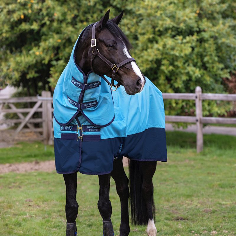 Horse clad in Horseware brand blue outdoor blanket, standing outdoors.
