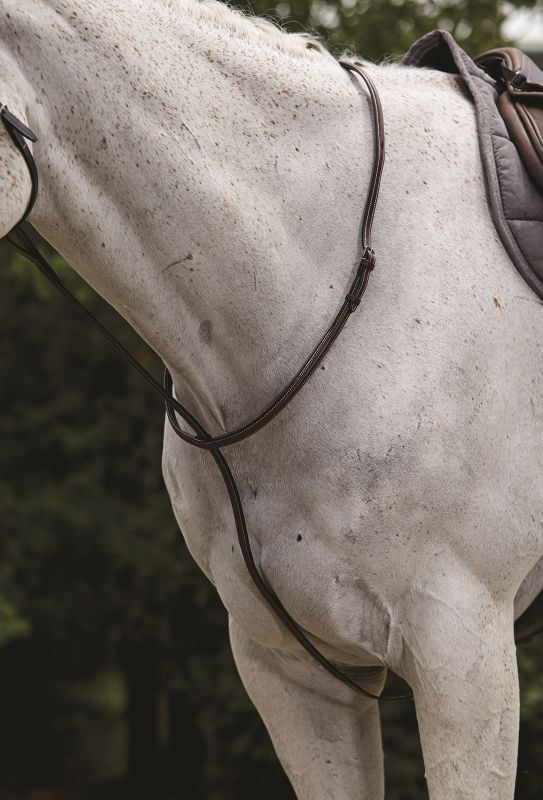 Collegiate brand horse tack on white speckled horse in profile.