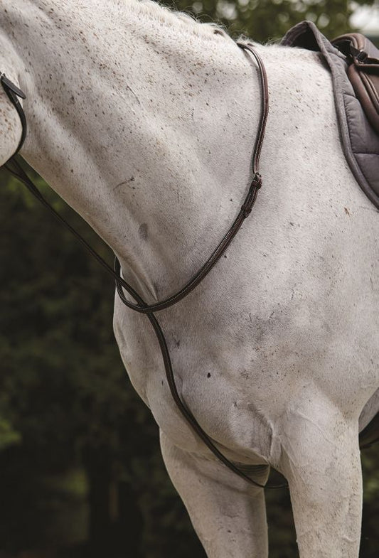 Collegiate brand leather horse bridle on white speckled horse.