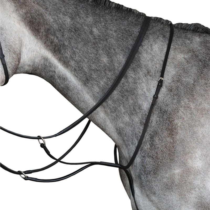 Close-up of gray horse wearing Collegiate brand black leather bridle.