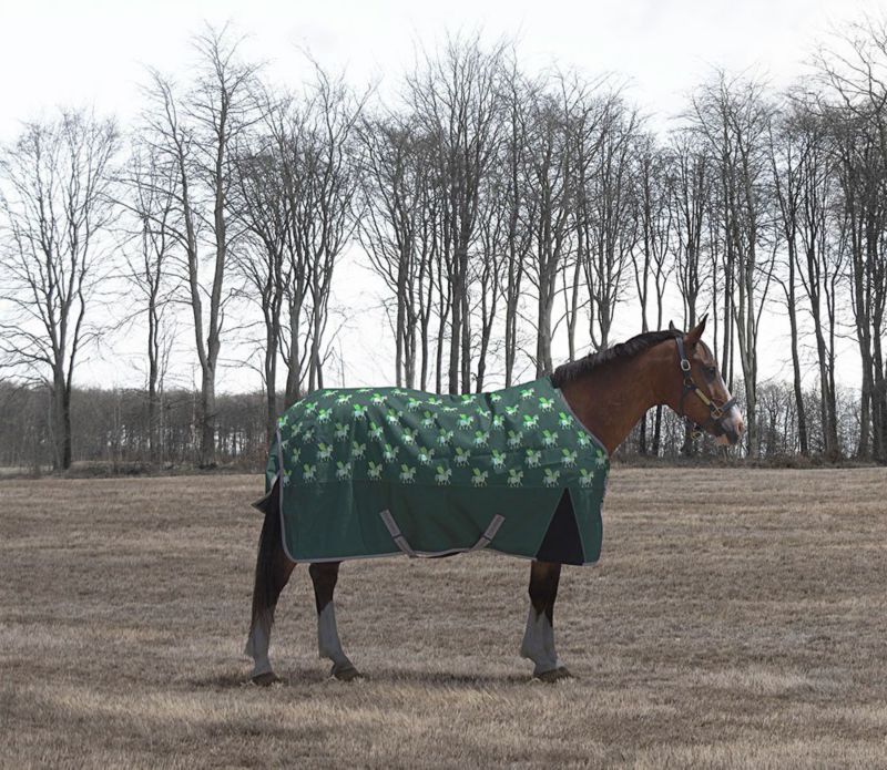 Horse wearing Tuffrider blanket with stars, standing in a field.