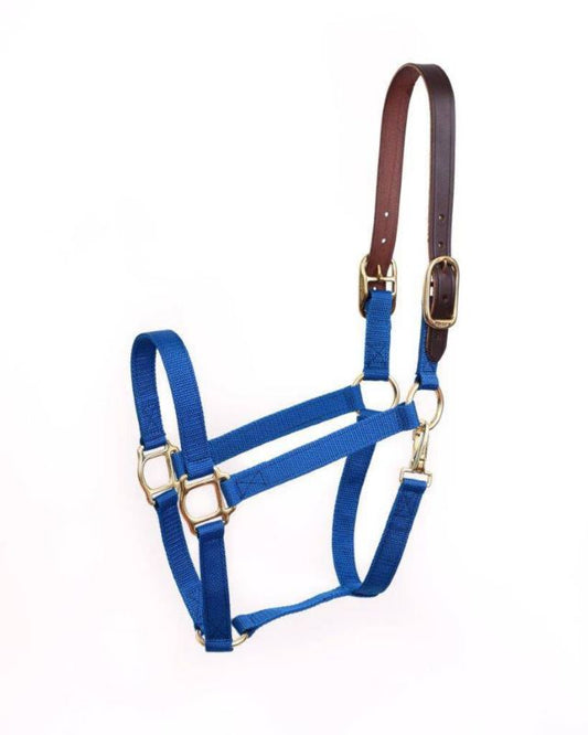 Perris Breakaway Nylon Safety Halter Horse Royal