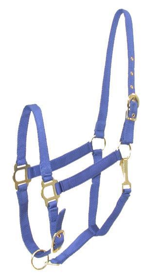 Gatsby Adjustable Nylon Halter w/Snap Pony Royal