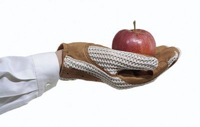 Person wearing gloves holds red apple against white background.