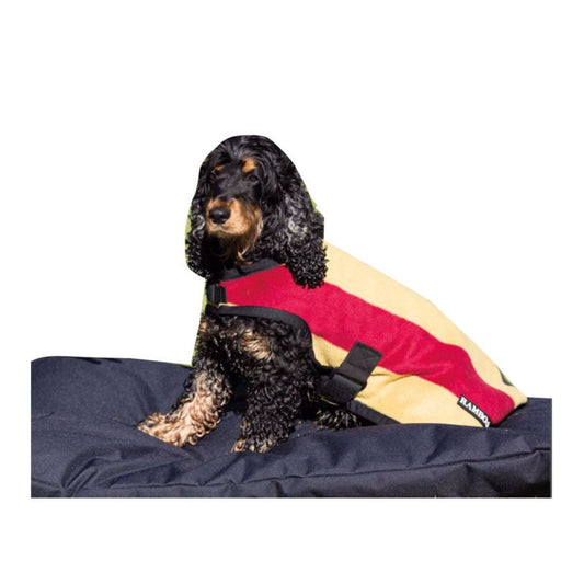 Dog wearing Horseware branded colorful coat with hood, on cushion.
