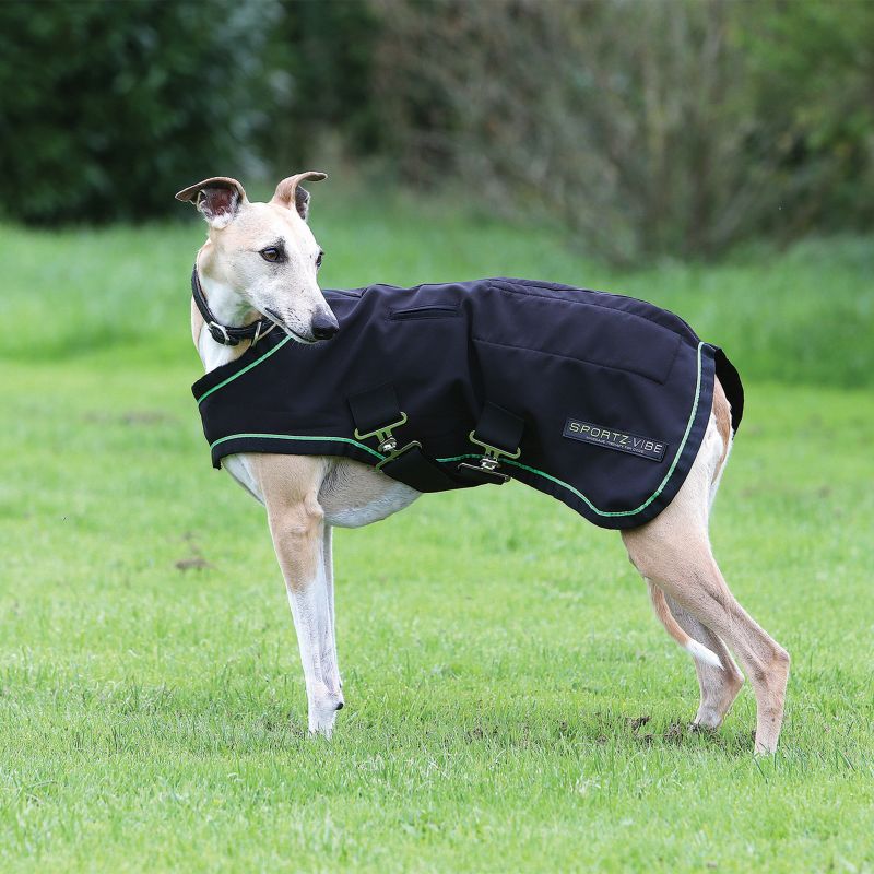 Greyhound dog wearing a Horseware Sportz-Vibe black therapy jacket outdoors.