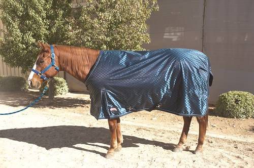 Deluxe Turnout Blanket - 840D 74In Blue
