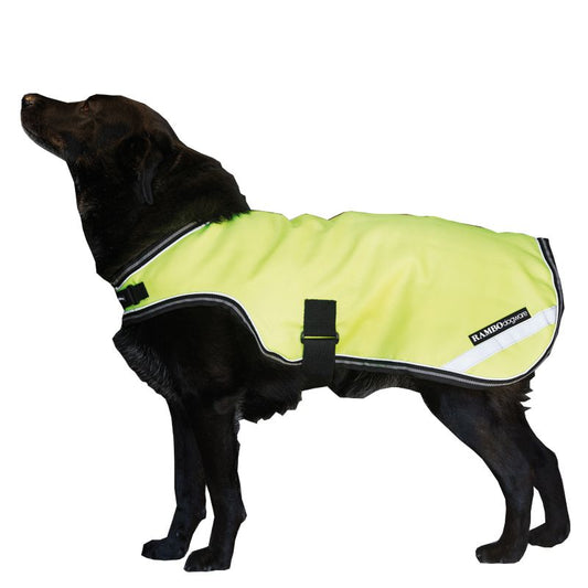 Black dog wearing Horseware neon yellow reflective jacket.