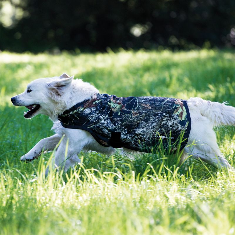 White dog wearing Horseware jacket running through green grass.