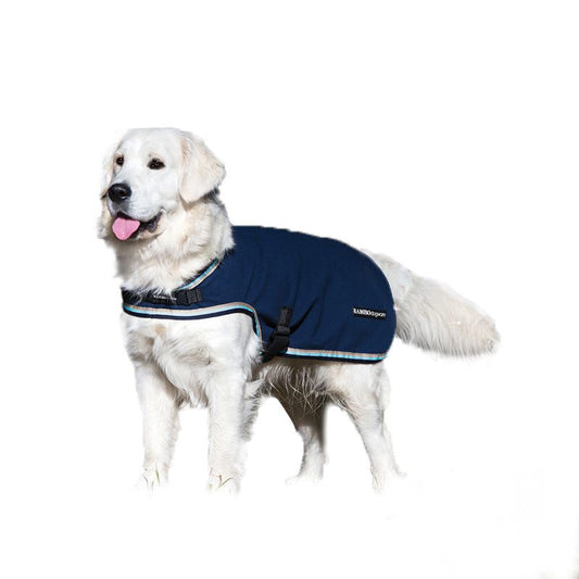 Golden Retriever wearing Horseware dog blanket, isolated on white background.