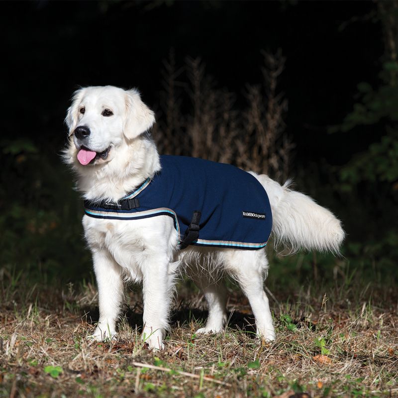 Golden Retriever wearing a blue Horseware dog coat outdoors.