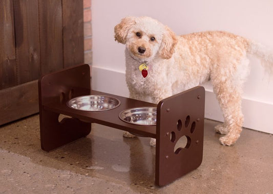 A dog beside a Merry Products elevated double bowl feeder.