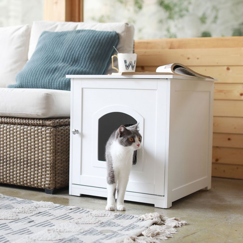 Merry Products cat house with curious grey and white cat inside.