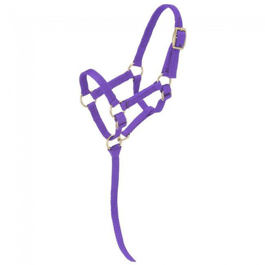 Tough1 Miniature Nylon Halter Sm Purple