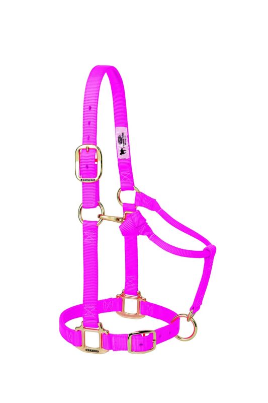 Weaver Org 3/4In Adj Snap Halter Weanling Hur Blue